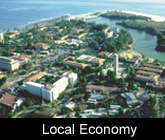 Local Economy