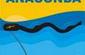 Checkmate Sea Energy