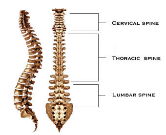 Chiropractic Care