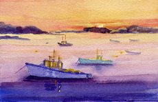 shipping