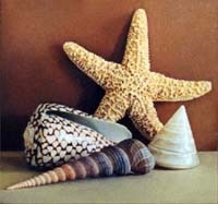 starfish