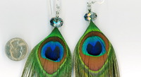 Peacock Feather Earrings