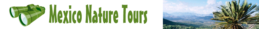 Mexico Nature Tours