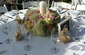 Table Set up and Centerpieces