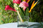 Table Set up and Centerpieces