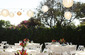 Table Set up and Centerpieces