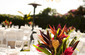 Table Set up and Centerpieces