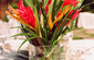 Table Set up and Centerpieces