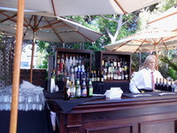 Bar Set Up and Drinks