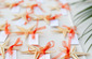 Reception Photos