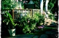 The Rincon Deck