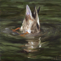 Duckie's Derriere - December 2010