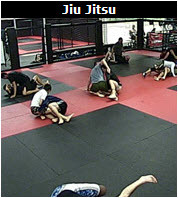 Jiu Jitsu