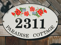 Paradise1 Paradise1