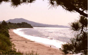 SumBeach Summerland Beach