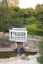 Eucalyptus Garden Euc2