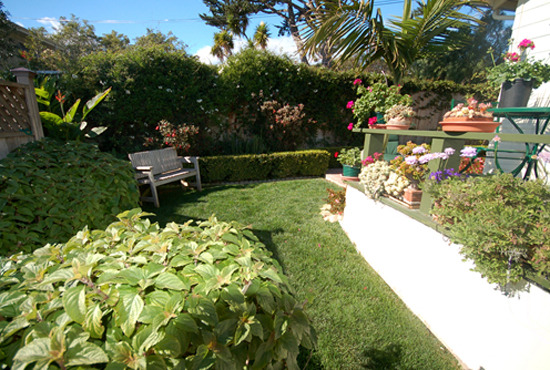 Paradise Cottage Garden