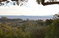 Eucalyptus Cottage View