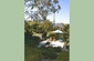 Eucalyptus Cottage Terrace