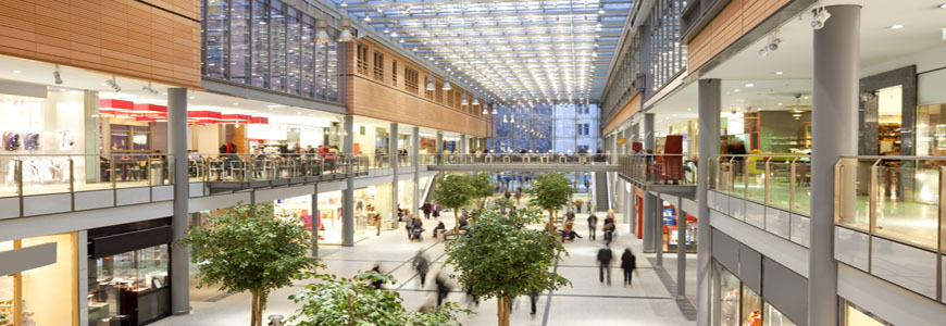 Consumer Goods / Retail