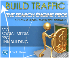 Search Engine Pros - Optimize Your SiteNinja Website for even better SEO Results Search Engine Pros - Optimize Your SiteNinja Website for even better SEO Results