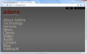 Flash Website