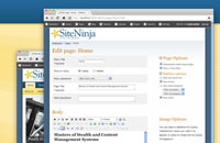 Base SiteNinja CMS Website (Required)