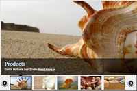 Homepage Featured Content Slideshow