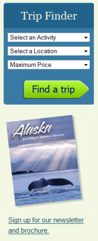 Custom Search and Newsletter Signup