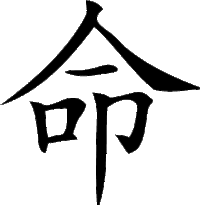 Master Your Web Destiny with SiteNinja CMS