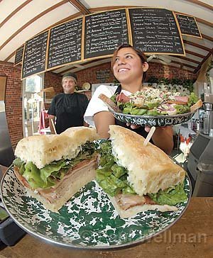 Panino