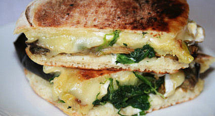 Panino