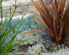 Hope Ranch Landscaping Hope Ranch Landscaping