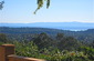 Daytime South Views of City and Island
