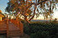 Deck views