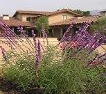 Santa Barbara Historical Museum