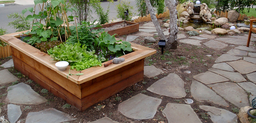 Planting & Design