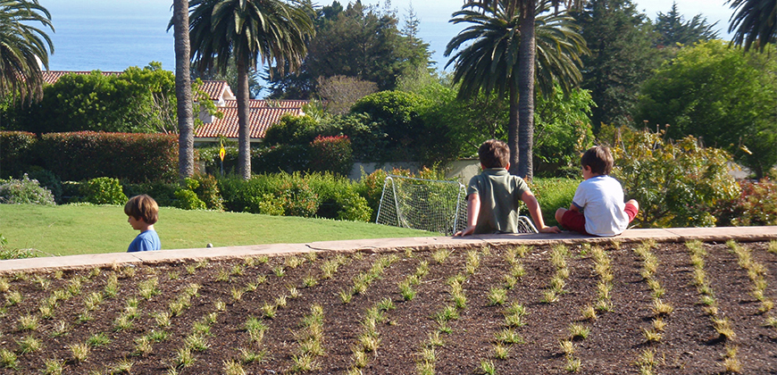 Landscape Maintenance