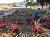 WilsonEnv earns SBCA 2012 Hardscape Award 