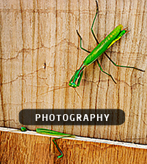 Photography home thumb