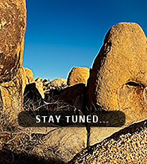 stay tuned home thumb