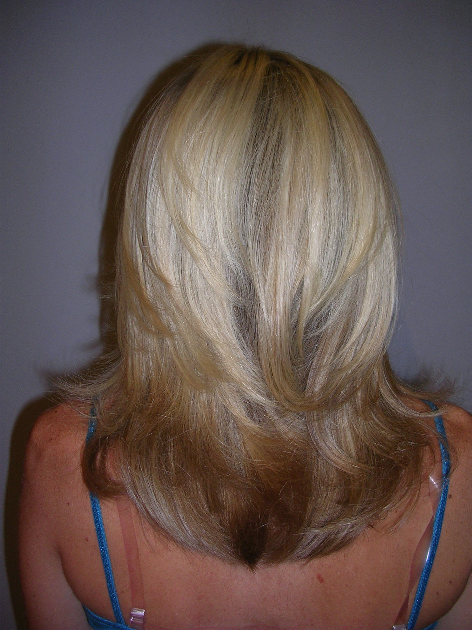 Blending Gray Hair With Highlights And Lowlights Hair ...