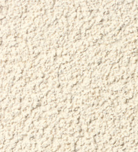 Senergy Stucco 