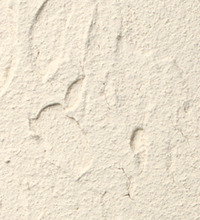 Senergy Stucco 