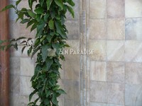 Tumbled Onyx Installation