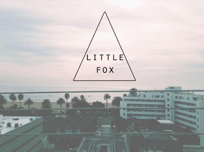 Little Fox Clothing - image 1 - student project