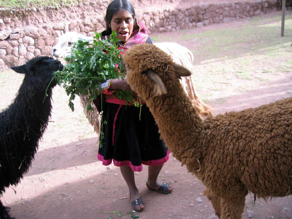 Perú, beyond Machu Picchu - image 3 - student project