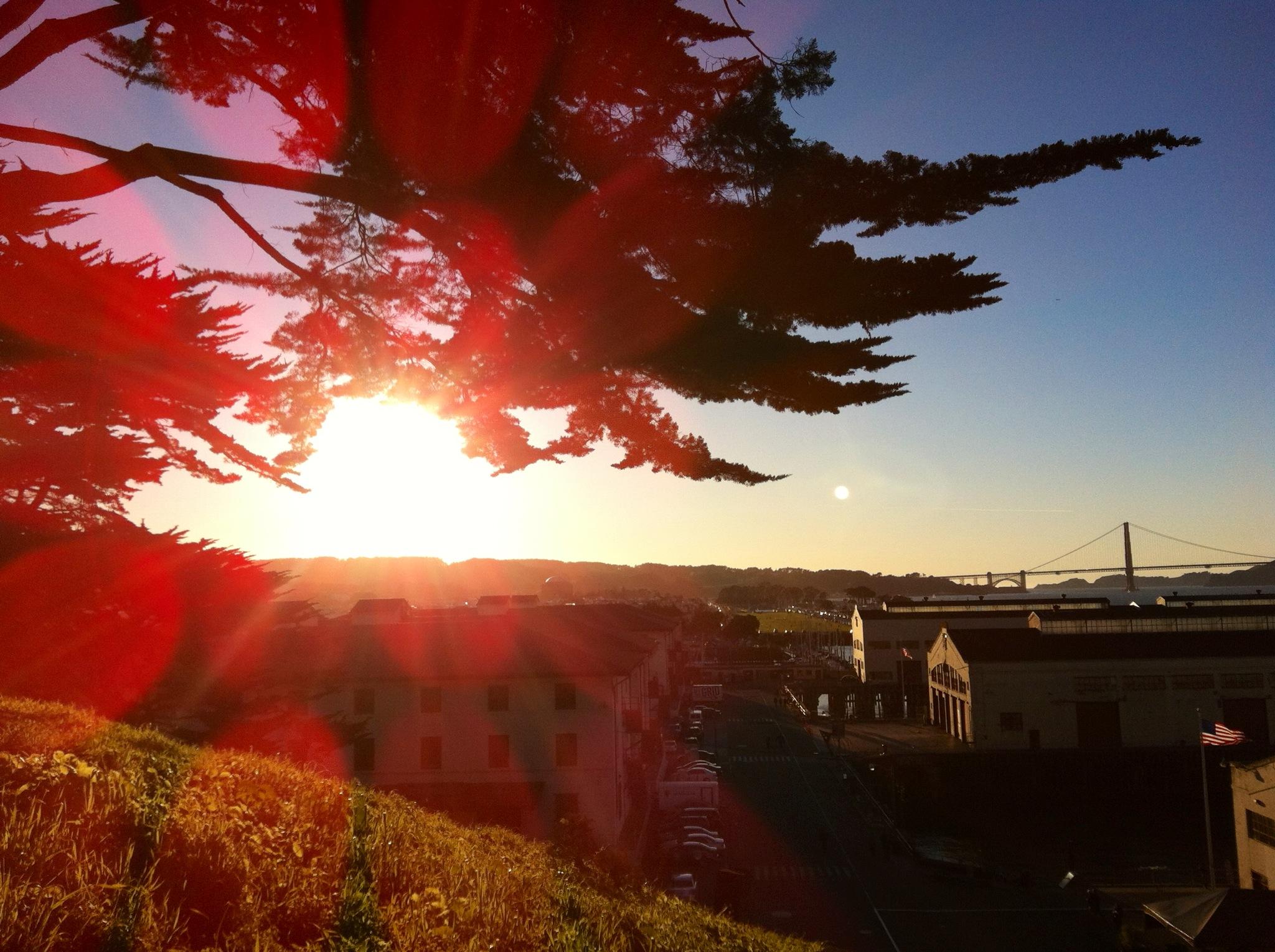 Exploring San Francisco - image 2 - student project