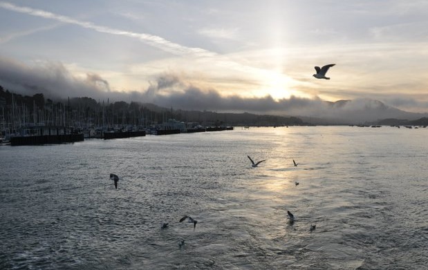 Exploring San Francisco - image 6 - student project