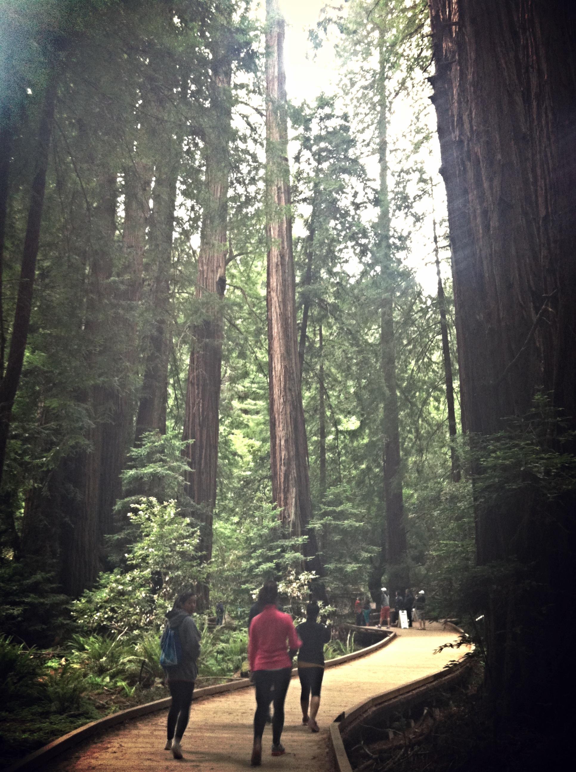 Exploring San Francisco - image 11 - student project